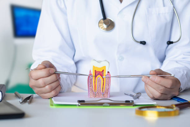 Best Emergency Cosmetic Dentistry in Mcgaheysville, VA